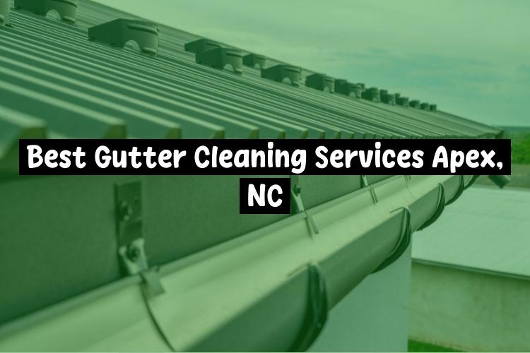 Best Gutter Cleaning Services Apex, NC