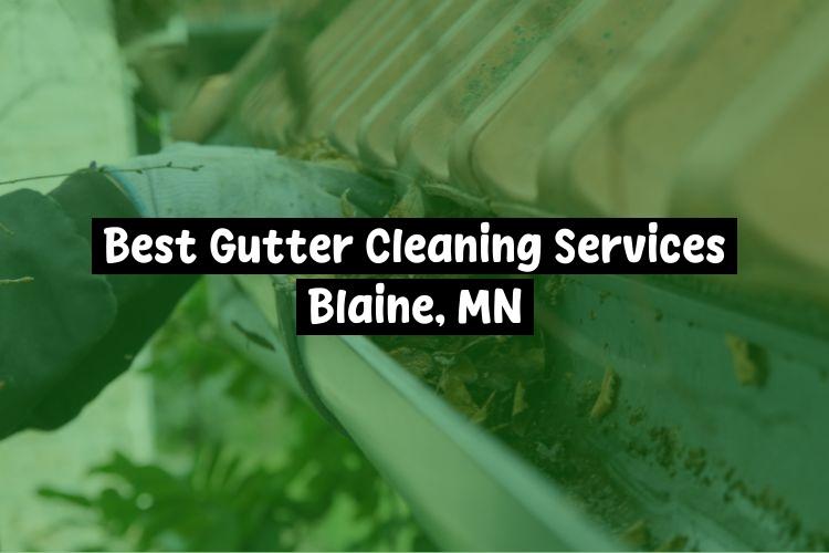 Best Gutter Cleaning Services Blaine, MN