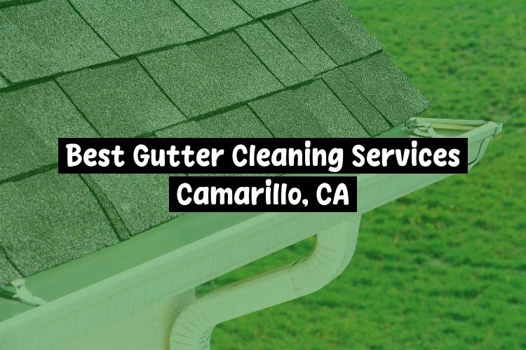 Best Gutter Cleaning Services Near Me USA Best Gutter Cleaning Services Near Me USA
