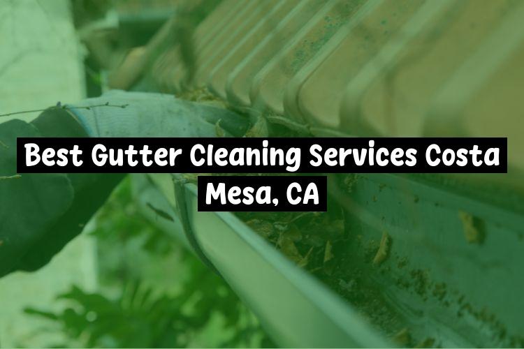 Best Gutter Cleaning Services Near Me USA Best Gutter Cleaning Services Near Me USA