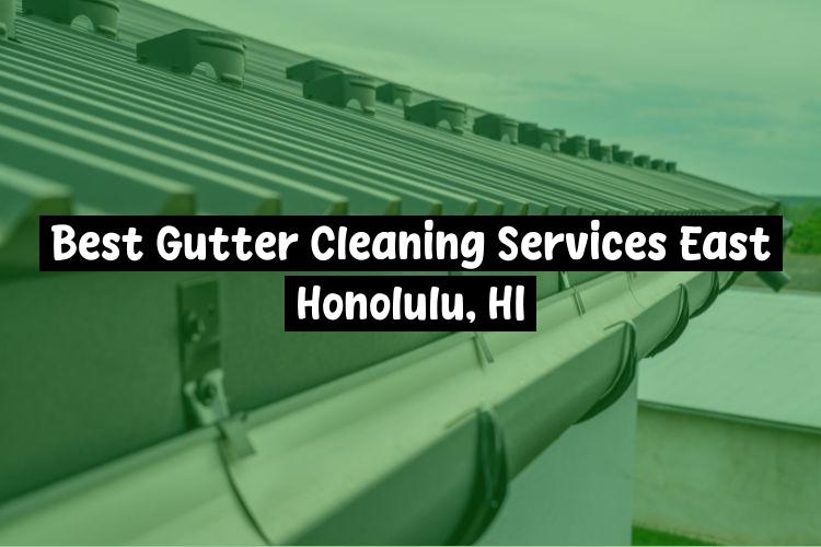 Best Gutter Cleaning Services Near Me USA Best Gutter Cleaning Services Near Me USA