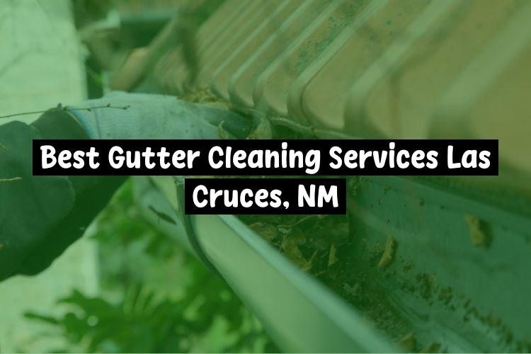 Best Gutter Cleaning Services Near Me USA Best Gutter Cleaning Services Near Me USA