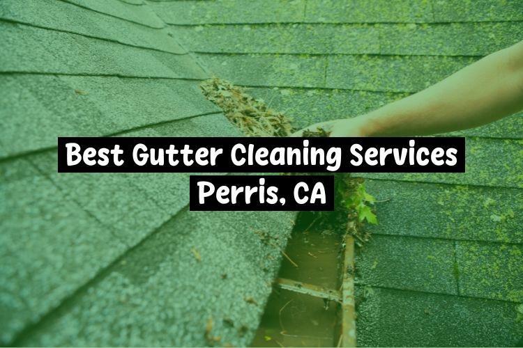 Best Gutter Cleaning Services Near Me USA Best Gutter Cleaning Services Near Me USA